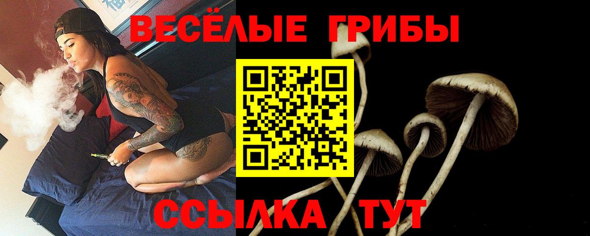 Галлюциногенные грибы ЛСД Советск