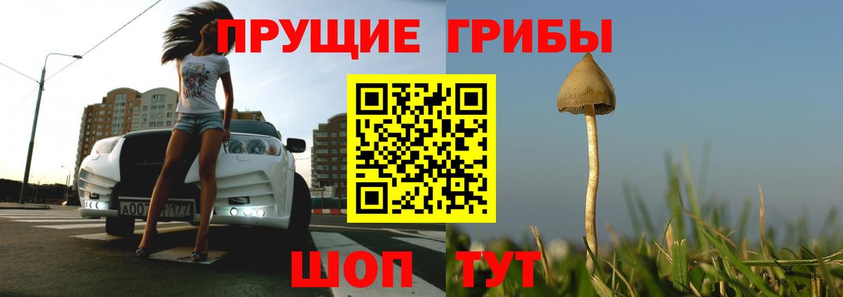 Советск  Галлюциногенные грибы GOLDEN TEACHER  Вход с VPN 